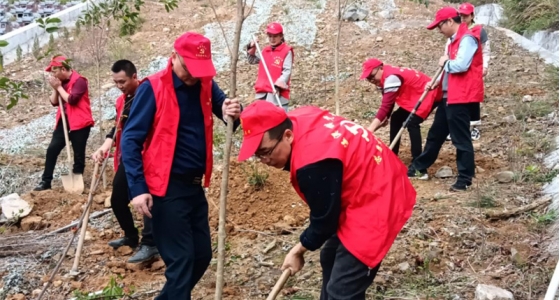 村企共建，共植先鋒林