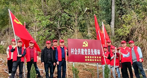 村企共建，共植先鋒林