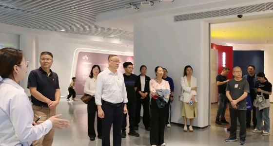 青田縣稅務(wù)局黨支部黨員活動，深化稅企黨建互聯(lián)共建