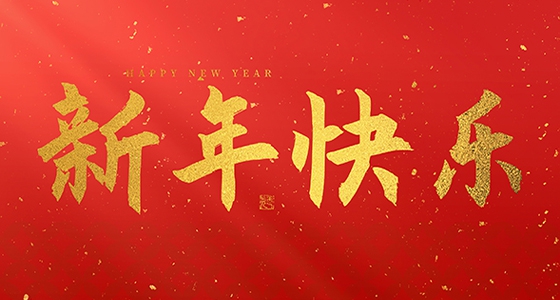安特儀表集團(tuán)有限公司祝大家2025新年快樂！